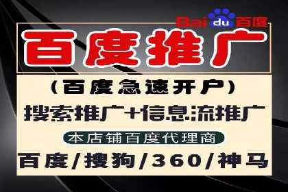 搜索引擎优化（SEO）与竞价广告（SEM）的对比案例
